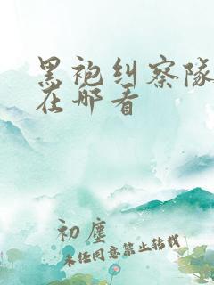 黑袍纠察队可以在哪看