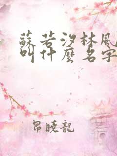 苏若汐林风小说叫什么名字