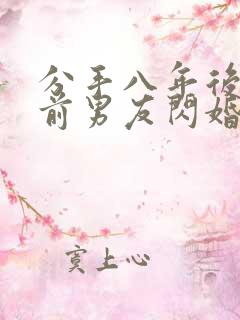 分手八年后我和前男友闪婚了完结