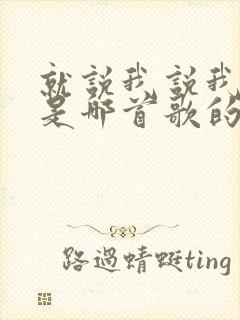 就说我说我爱你是哪首歌的歌词