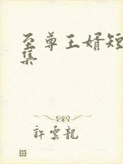 至尊王婿短剧合集