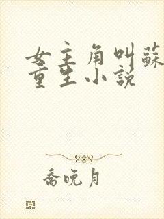 女主角叫苏婉的重生小说