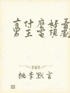 有什么好看的双男主电视剧