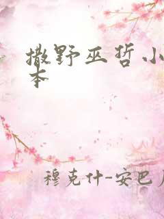 撒野巫哲小说完本