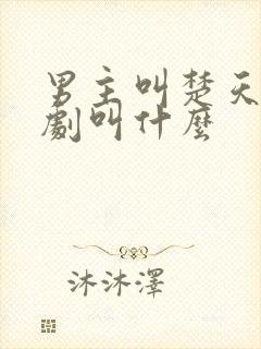 男主叫楚天的短剧叫什么