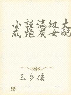 小说满级大佬穿成炮灰女配