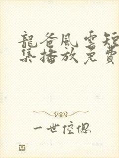 龙爸风云短剧全集播放免费观看高清