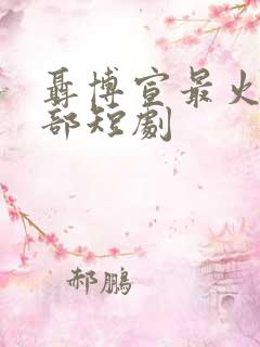 聂博宣最火的十部短剧