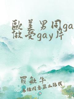 欧美男同gay做受gay片