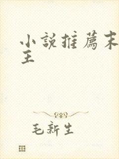 小说推荐末世女主