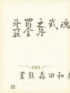 斗罗之武魂为九窍金丹