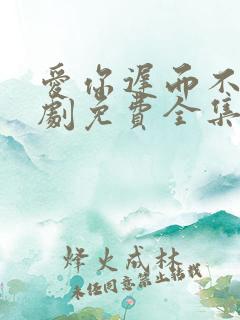 爱你迟而不晚短剧免费全集免费播放