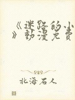 《迷路的小男孩》动漫免费观看