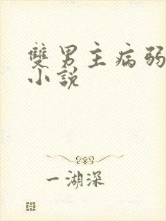 双男主病弱生子小说