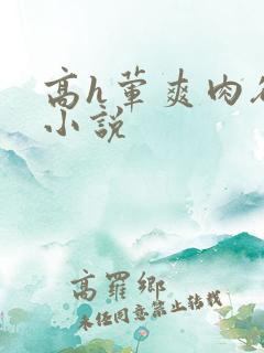 高h荤爽肉欲文小说