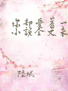 你却爱着一个他小说全文未删减版