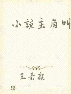 小说主角叫陆峰