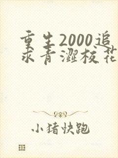 重生2000追求青涩校花同桌开始最新更新章节