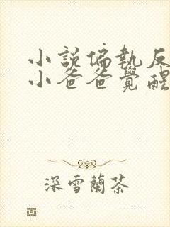 小说偏执反派的小爸爸觉醒后全本看