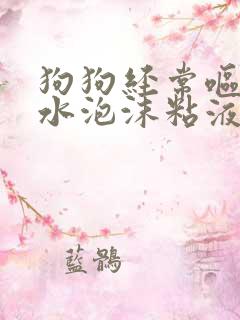 狗狗经常呕吐黄水泡沫粘液什么原因