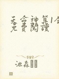 天命神算1全本免费阅读