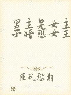 男主是女主家养子暗恋女主