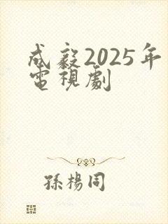 成毅2025年电视剧