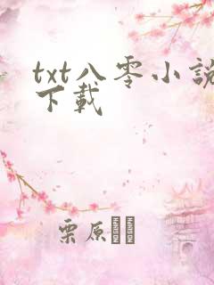 txt八零小说下载