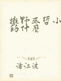 撒野巫哲小说讲的什么