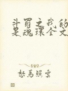 斗罗之我的武魂是魂环全文