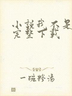 小说我不是戏神完整下载