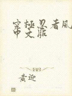 究极忍者风暴4中文版