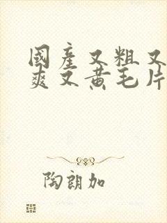 国产又粗又猛又爽又黄毛片