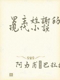 男主姓谢的总裁现代小说