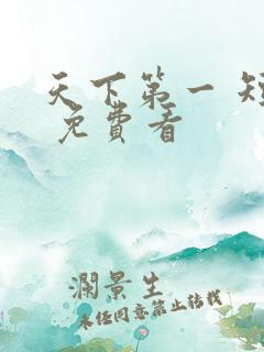 天下第一 短剧 免费看