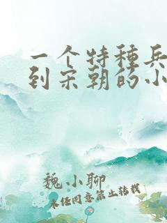 一个特种兵穿越到宋朝的小说