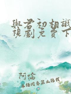 与君初相识 电视剧免费下载