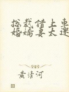 总裁错上车:闪婚娇妻太迷人