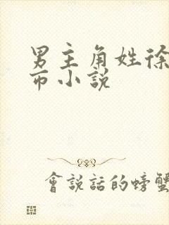 男主角姓徐的都市小说