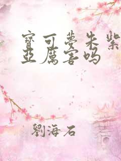 宝可梦朱紫索罗亚厉害吗