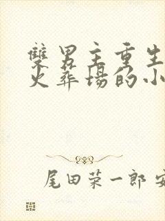 双男主重生追夫火葬场的小说