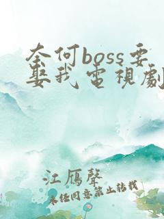 奈何boss要娶我电视剧免费版第一季