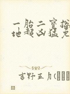 一胎二宝总裁爹地超凶猛免费观看