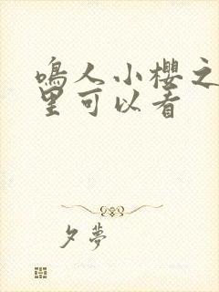 鸣人小樱之夜哪里可以看