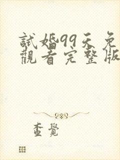 试婚99天免费观看完整版电视剧