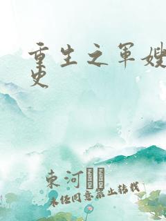 重生之军嫂奋斗史