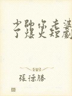 少帅你老婆又跑了爆火短剧