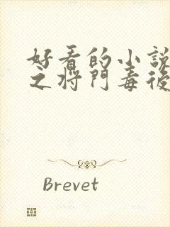 好看的小说重生之将门毒后