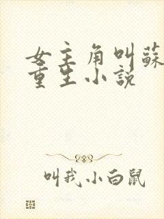 女主角叫苏离的重生小说