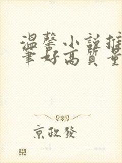 温馨小说推荐文笔好高质量完结